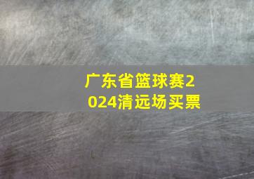 广东省篮球赛2024清远场买票