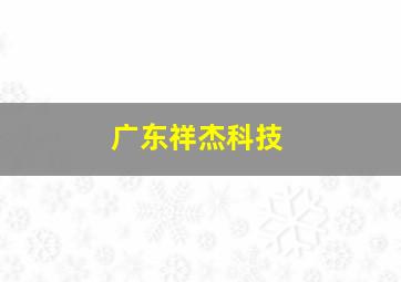 广东祥杰科技