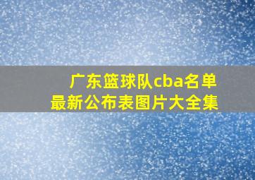 广东篮球队cba名单最新公布表图片大全集