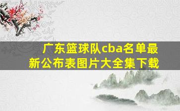 广东篮球队cba名单最新公布表图片大全集下载