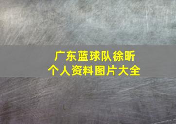 广东蓝球队徐昕个人资料图片大全