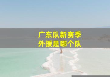 广东队新赛季外援是哪个队