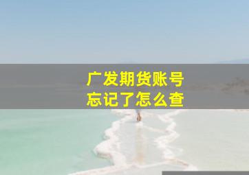 广发期货账号忘记了怎么查