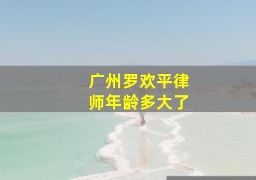 广州罗欢平律师年龄多大了