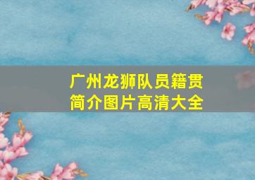 广州龙狮队员籍贯简介图片高清大全