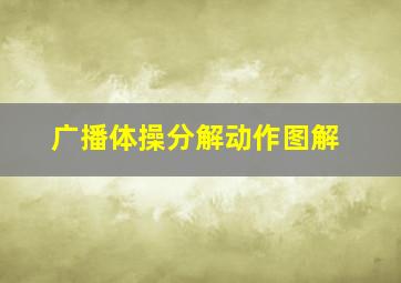 广播体操分解动作图解