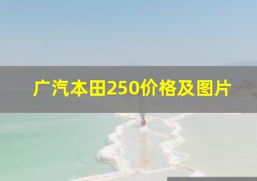 广汽本田250价格及图片