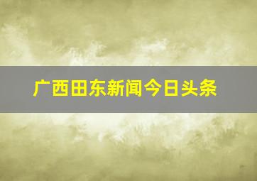 广西田东新闻今日头条