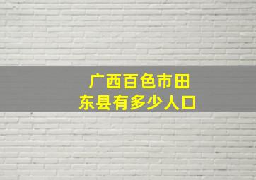 广西百色市田东县有多少人口