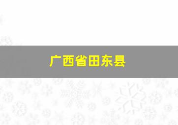 广西省田东县