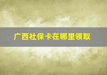 广西社保卡在哪里领取