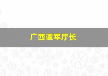 广西谭军厅长