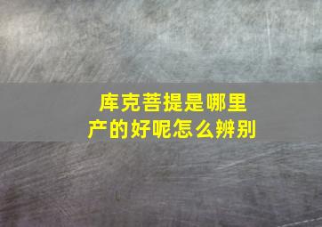 库克菩提是哪里产的好呢怎么辨别