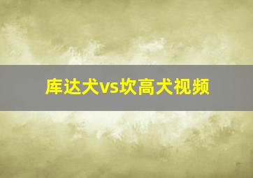 库达犬vs坎高犬视频