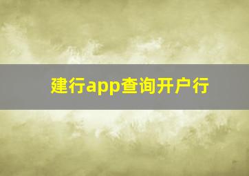 建行app查询开户行