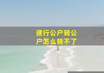 建行公户转公户怎么转不了