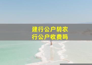 建行公户转农行公户收费吗