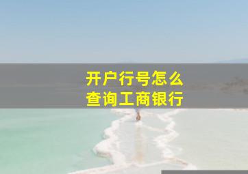 开户行号怎么查询工商银行