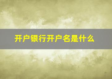 开户银行开户名是什么