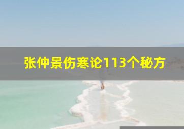 张仲景伤寒论113个秘方