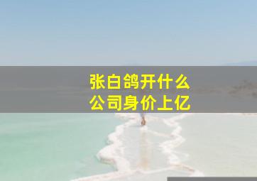 张白鸽开什么公司身价上亿