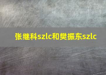 张继科szlc和樊振东szlc