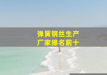 弹簧钢丝生产厂家排名前十