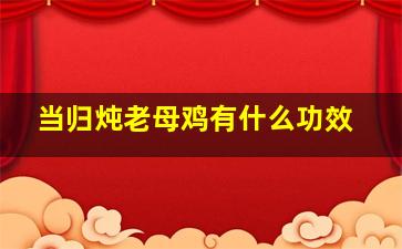 当归炖老母鸡有什么功效