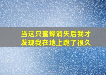 当这只蜜蜂消失后我才发现我在地上跪了很久