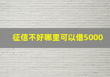 征信不好哪里可以借5000