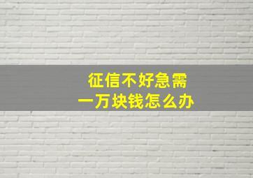 征信不好急需一万块钱怎么办