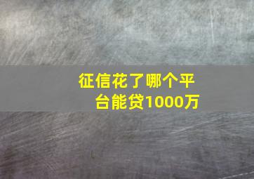 征信花了哪个平台能贷1000万