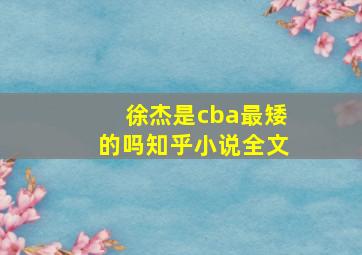 徐杰是cba最矮的吗知乎小说全文