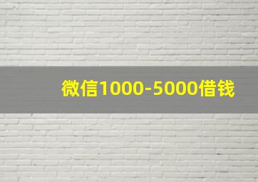 微信1000-5000借钱