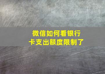 微信如何看银行卡支出额度限制了