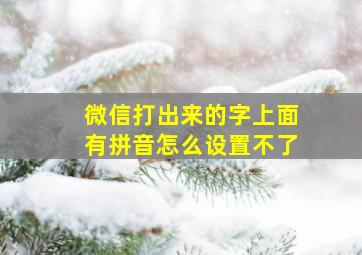 微信打出来的字上面有拼音怎么设置不了