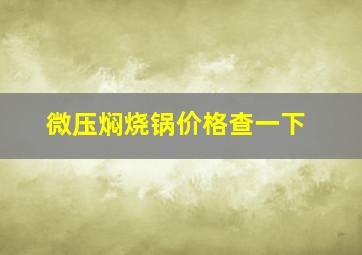 微压焖烧锅价格查一下