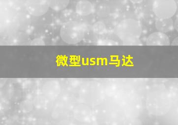 微型usm马达