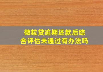 微粒贷逾期还款后综合评估未通过有办法吗