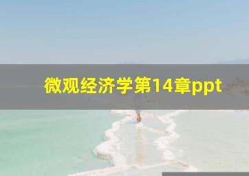 微观经济学第14章ppt