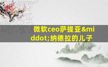 微软ceo萨提亚·纳德拉的儿子