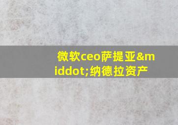 微软ceo萨提亚·纳德拉资产