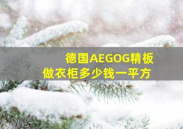 德国AEGOG精板做衣柜多少钱一平方