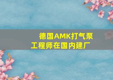 德国AMK打气泵工程师在国内建厂