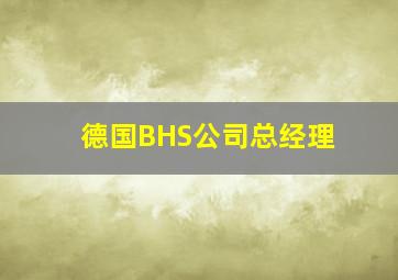 德国BHS公司总经理