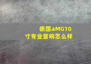 德国aMG10寸专业音响怎么样