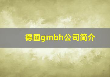 德国gmbh公司简介