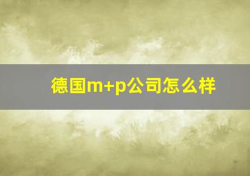 德国m+p公司怎么样