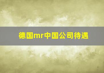 德国mr中国公司待遇