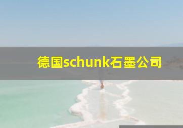 德国schunk石墨公司